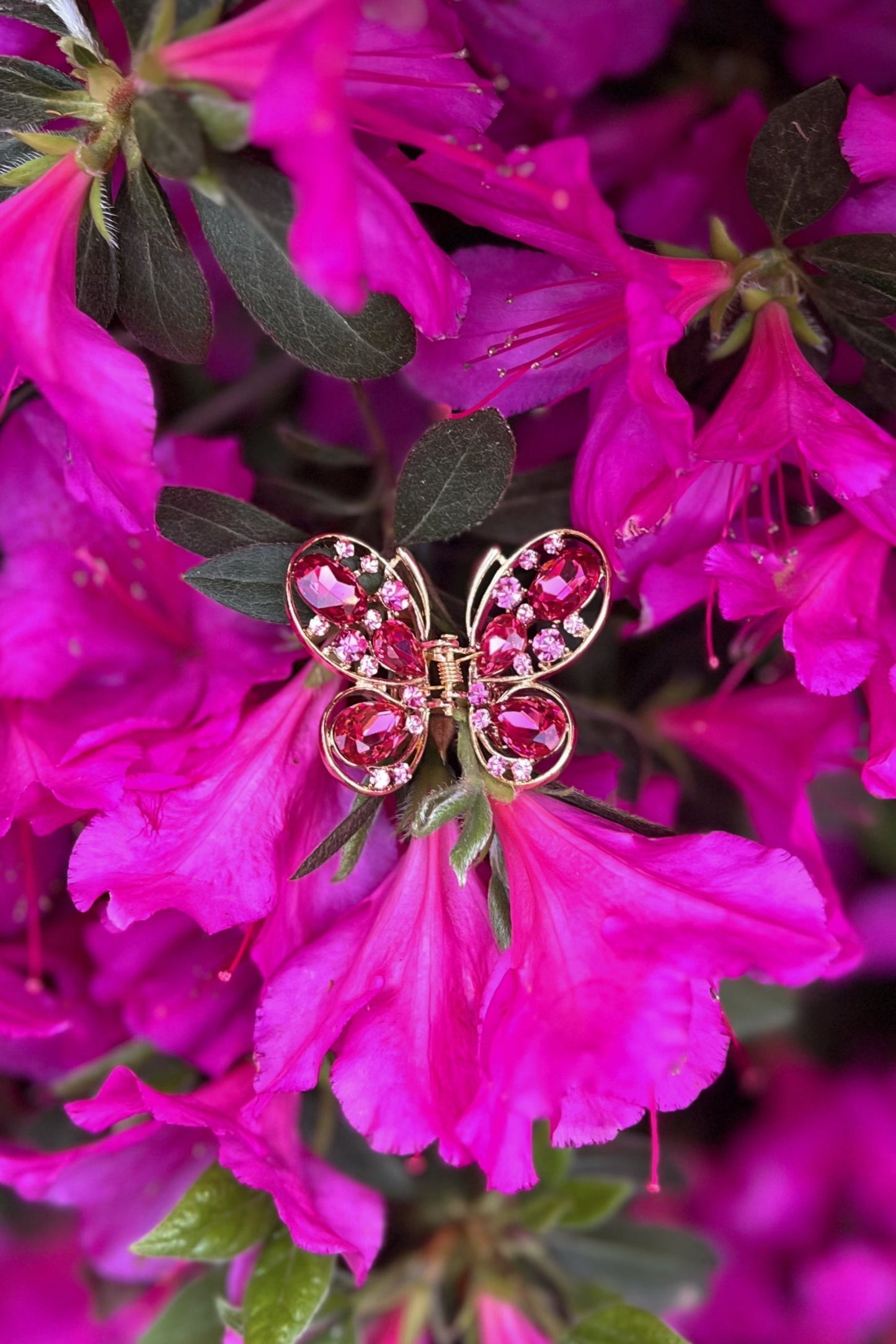 Elegant Gold & Crystal Butterfly Hair Jaw Hair Jaws Soho Style
