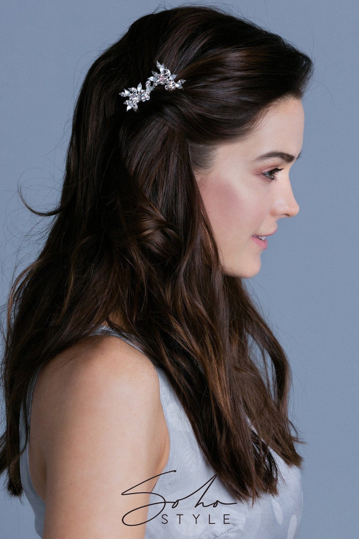 Frosted Vine Hair Combs (Pair) Hair Comb Soho Style