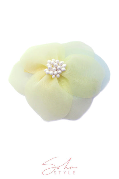 CH17 Hair Accessorie CH17
